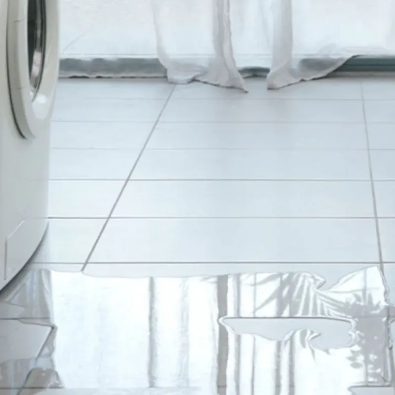Appliance Leak Cleanup in Adams County, WI