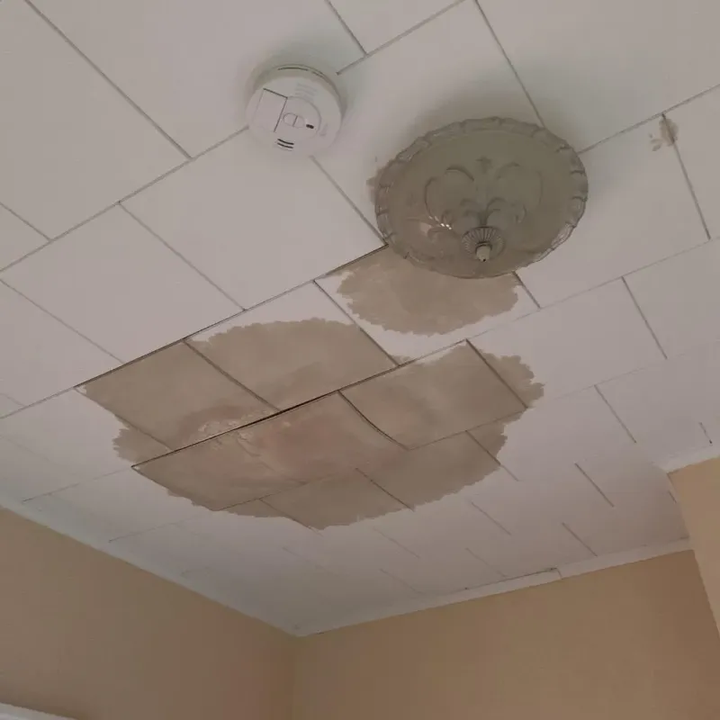Ceiling Water Damage Repair in Adams County, WI