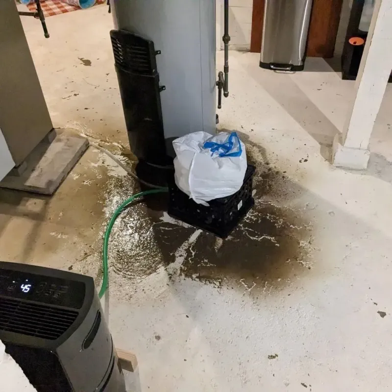 Sewage Backup Cleanup Service in Adams County, WI